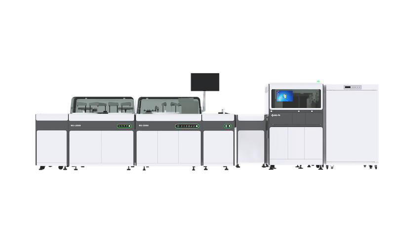 MS-P6-image